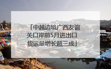 中越边境广西友谊关口岸前5月进出口货运量增长超三成