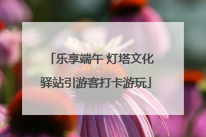 乐享端午 灯塔文化驿站引游客打卡游玩