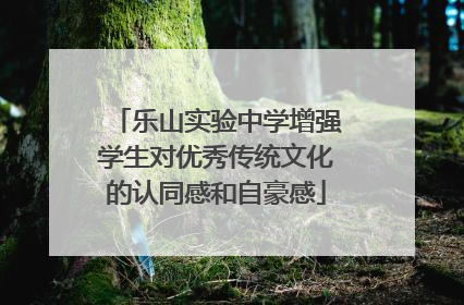 乐山实验中学增强学生对优秀传统文化的认同感和自豪感