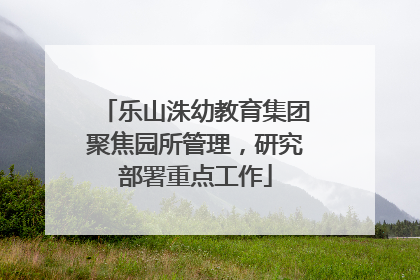 乐山洙幼教育集团聚焦园所管理，研究部署重点工作