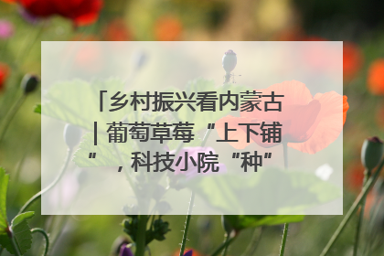 乡村振兴看内蒙古｜葡萄草莓“上下铺”，科技小院“种”出三倍效益