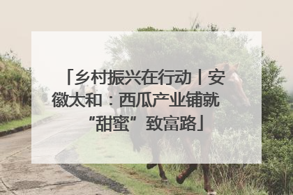 乡村振兴在行动丨安徽太和：西瓜产业铺就“甜蜜”致富路