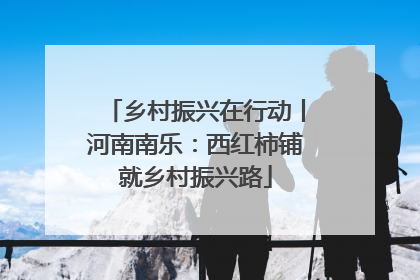 乡村振兴在行动丨河南南乐：西红柿铺就乡村振兴路
