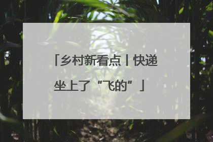 乡村新看点丨快递坐上了“飞的”