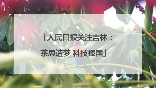 人民日报关注吉林：茶思造梦 科技报国