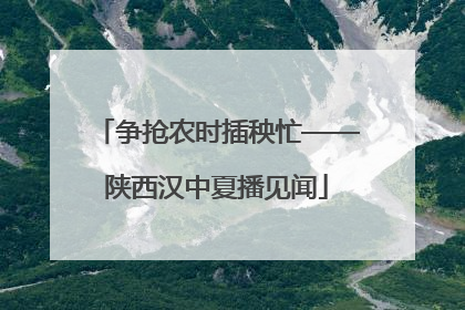 争抢农时插秧忙——陕西汉中夏播见闻