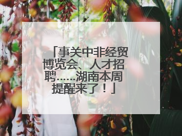 事关中非经贸博览会、人才招聘……湖南本周提醒来了！