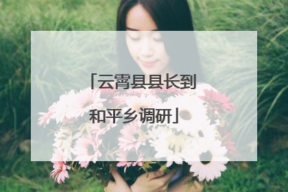 云霄县县长到和平乡调研