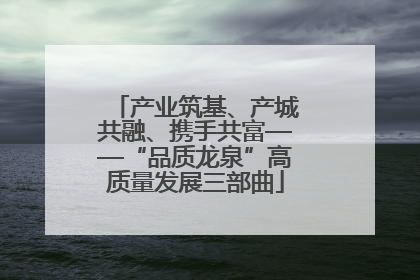 产业筑基、产城共融、携手共富——“品质龙泉”高质量发展三部曲
