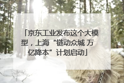 京东工业发布这个大模型，上海“链动众城 万亿降本”计划启动