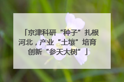 京津科研“种子”扎根河北，产业“土壤”培育创新“参天大树”