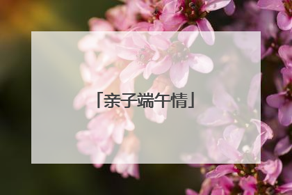亲子端午情