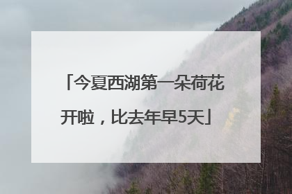 今夏西湖第一朵荷花开啦，比去年早5天