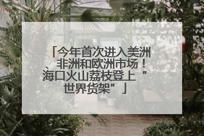 今年首次进入美洲、非洲和欧洲市场！海口火山荔枝登上“世界货架”