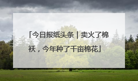 今日报纸头条｜卖火了棉袄，今年种了千亩棉花
