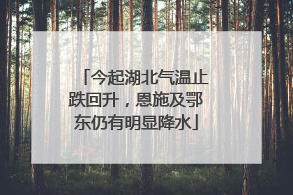 今起湖北气温止跌回升，恩施及鄂东仍有明显降水