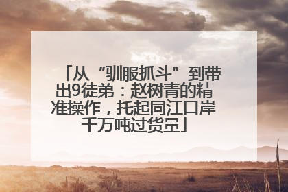 从“驯服抓斗”到带出9徒弟：赵树青的精准操作，托起同江口岸千万吨过货量