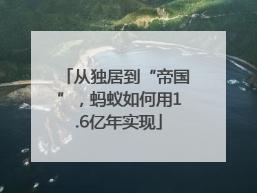 从独居到“帝国”，蚂蚁如何用1.6亿年实现