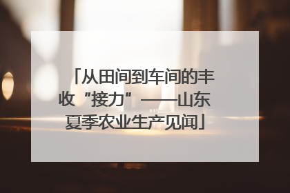 从田间到车间的丰收“接力”——山东夏季农业生产见闻