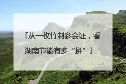 从一枚竹制参会证，看湖南节能有多“拼”
