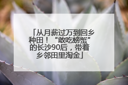 从月薪过万到回乡种田！“敢吃螃蟹”的长沙90后，带着乡邻田里淘金