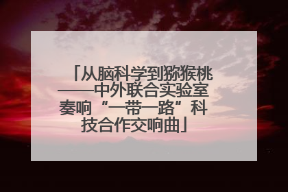 从脑科学到猕猴桃——中外联合实验室奏响“一带一路”科技合作交响曲