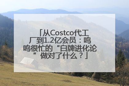 从Costco代工厂到1.2亿会员：鸣鸣很忙的“白牌进化论”做对了什么？