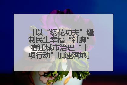 以“绣花功夫”缝制民生幸福“针脚” 宿迁城市治理“十项行动”加速落地