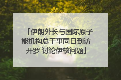 伊朗外长与国际原子能机构总干事同日到访开罗 讨论伊核问题