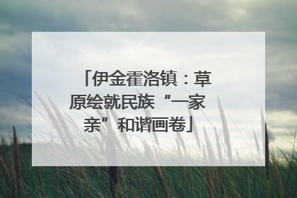 伊金霍洛镇：草原绘就民族“一家亲”和谐画卷
