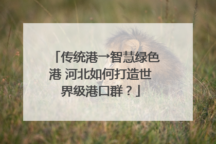 传统港→智慧绿色港 河北如何打造世界级港口群？