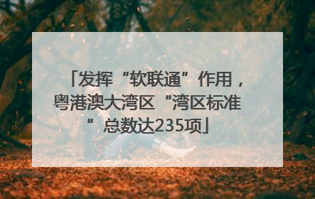 发挥“软联通”作用，粤港澳大湾区“湾区标准”总数达235项