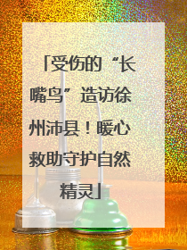 受伤的“长嘴鸟”造访徐州沛县！暖心救助守护自然精灵