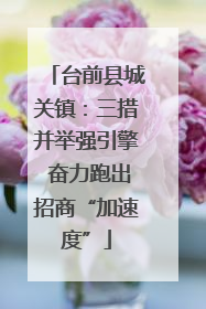 台前县城关镇：三措并举强引擎 奋力跑出招商“加速度”