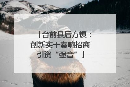 台前县后方镇：创新实干奏响招商引资“强音”