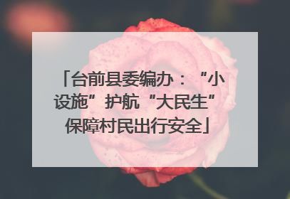 台前县委编办：“小设施”护航“大民生” 保障村民出行安全