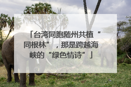 台湾同胞随州共植“同根林”，那是跨越海峡的“绿色情诗”