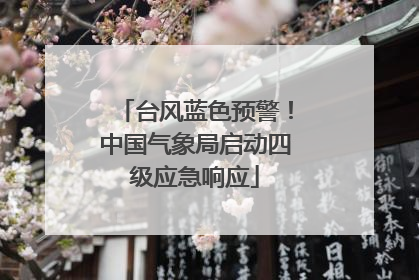 台风蓝色预警！中国气象局启动四级应急响应