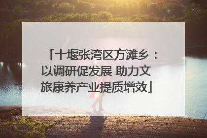 十堰张湾区方滩乡：以调研促发展 助力文旅康养产业提质增效