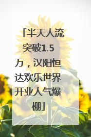 半天人流突破1.5万，汉阳恒达欢乐世界开业人气爆棚