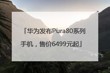华为发布Pura80系列手机，售价6499元起
