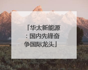 华太新能源：国内先锋奋争国际龙头