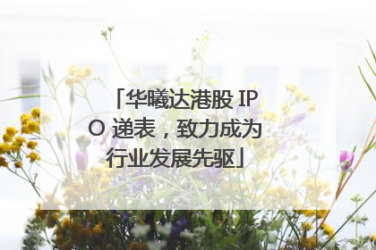 华曦达港股 IPO 递表，致力成为行业发展先驱