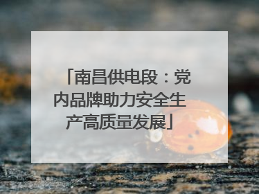 南昌供电段：党内品牌助力安全生产高质量发展