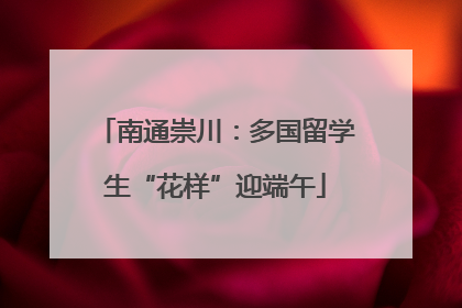 南通崇川：多国留学生“花样”迎端午