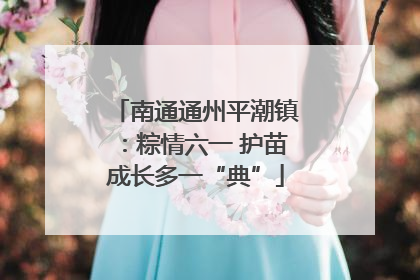 南通通州平潮镇：粽情六一 护苗成长多一“典”