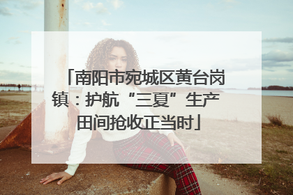 南阳市宛城区黄台岗镇：护航“三夏”生产 田间抢收正当时
