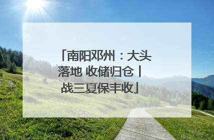 南阳邓州：大头落地 收储归仓丨战三夏保丰收