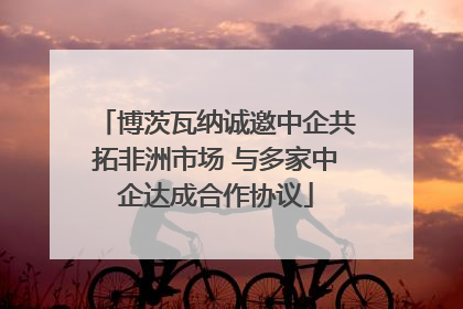 博茨瓦纳诚邀中企共拓非洲市场 与多家中企达成合作协议