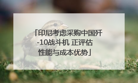 印尼考虑采购中国歼-10战斗机 正评估性能与成本优势